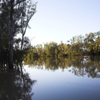 Hervey Bay – Tin Can Bay